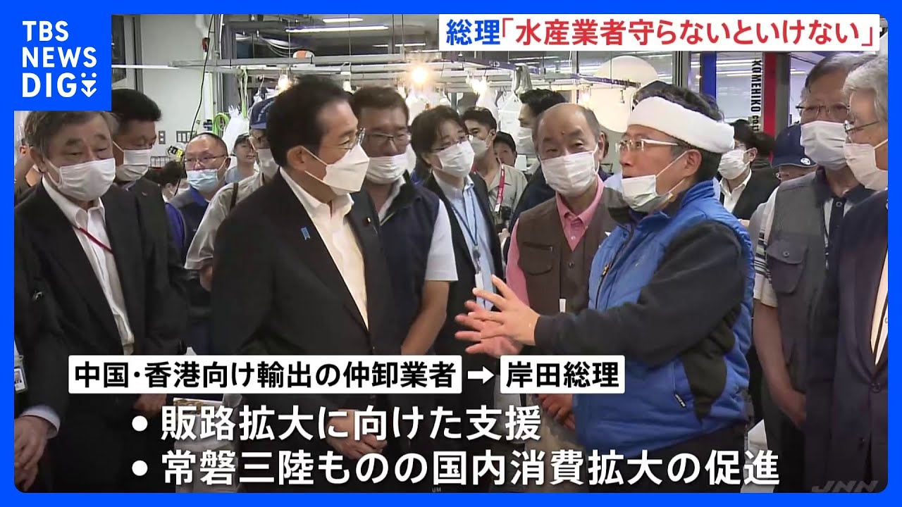 岸田総理 豊洲市場を視察「どんな動きがあっても水産業者は守らないといけない」|TBS NEWS DIG