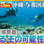 【絶景】与那国島の海底に広がる巨大サンゴ礁の世界　東京ではビル内で“人工飼育”も…サンゴがもたらす恩恵とは【ウェークアップ】