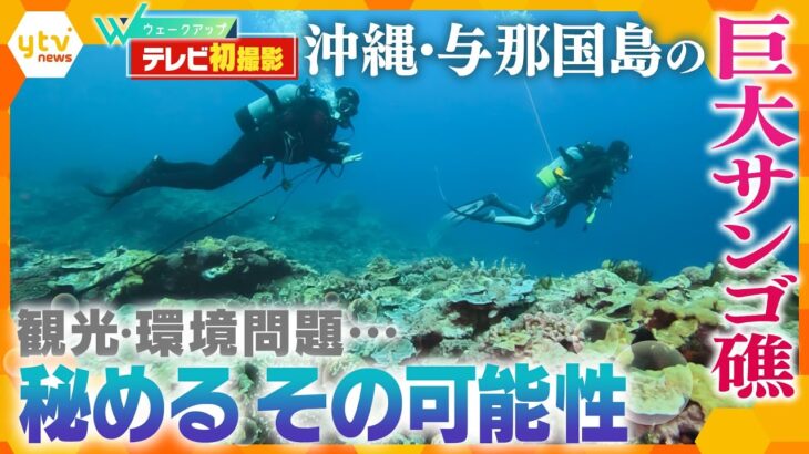 【絶景】与那国島の海底に広がる巨大サンゴ礁の世界　東京ではビル内で“人工飼育”も…サンゴがもたらす恩恵とは【ウェークアップ】