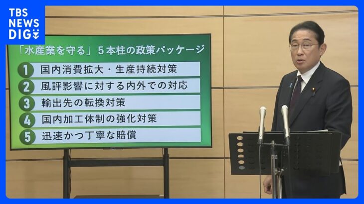 岸田総理　漁業関係者への支援策を表明　「処理水放出」で輸出に打撃【ノーカット】｜TBS NEWS DIG