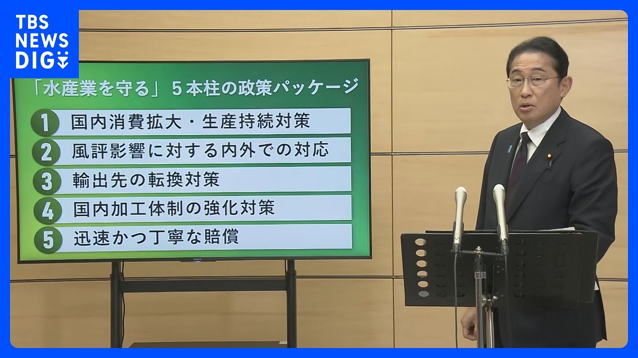 岸田総理　漁業関係者への支援策を表明　「処理水放出」で輸出に打撃【ノーカット】｜TBS&nbsp;NEWS&nbsp;DIG