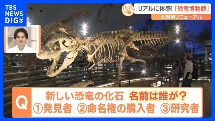 大迫力の恐竜博物館に潜入！福井は恐竜の化石発掘量日本一　7月に大幅リニューアル…その全貌に迫ります【すたすた中継】｜TBS NEWS DIG