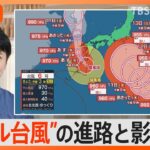 台風6号が九州地方に接近　さらに台風7号が発生　“ダブル台風”の進路と影響は?【Nスタ解説】｜TBS NEWS DIG
