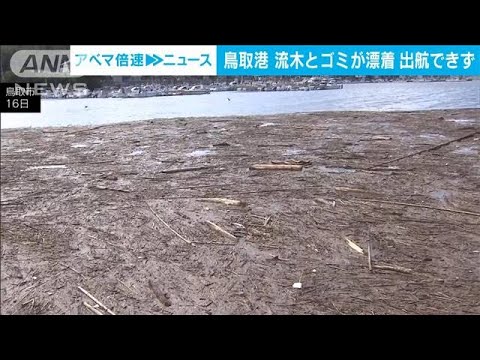 台風7号で鳥取港に大量の流木やごみ　船の出港ままならず漁業にも影響(2023年8月16日)