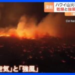 ハワイ・マウイ島で8日未明に発生した山火事 死者55人 被害拡大の理由「乾いた空気」と「強風」｜TBS NEWS DIG