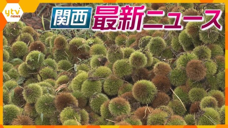 【ニュースライブ 8/18(金)】台風7号『丹波くり』５割以上落下/ボランティアによる復旧活動始まる/新型コロナ対応でうつ労災認定　ほか【随時更新】