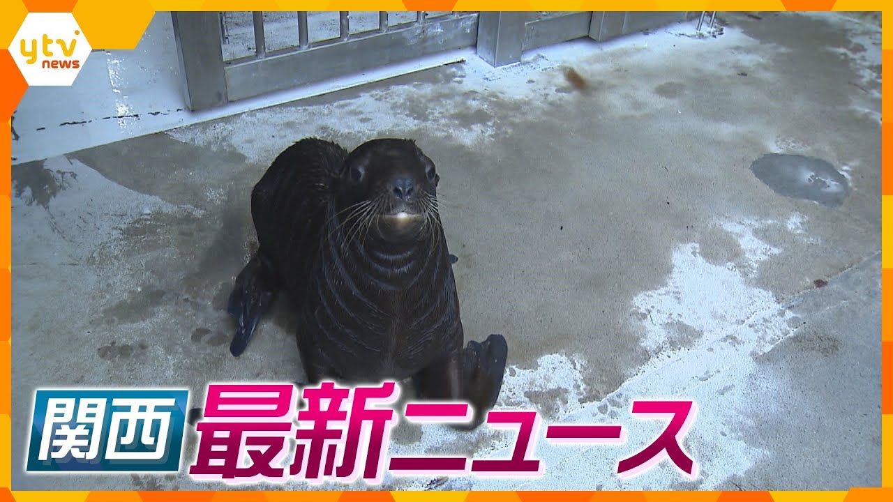 【ニュースライブ 8/29(火)】トドの赤ちゃんすくすく成長、11キロ増/「もしもしバカ野郎」処理水巡り関西でも“迷惑電話”/「契約後の内容変更は不当」エステ運営会社を提訴　ほか【随時更新】