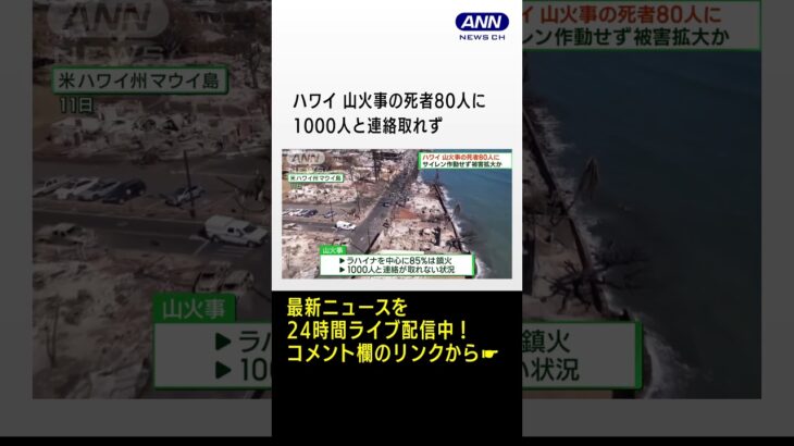 ハワイ　山火事の死者80人に　1000人と連絡取れず #shorts