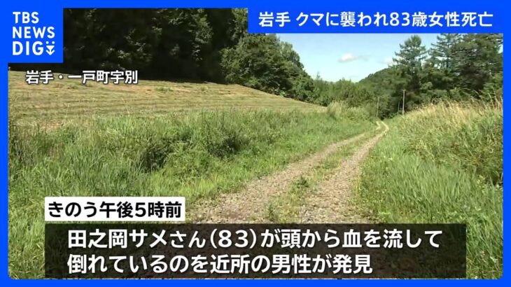 クマに襲われ83歳の女性が死亡　頭や右腕にはひっかかれた傷　岩手県｜TBS NEWS DIG