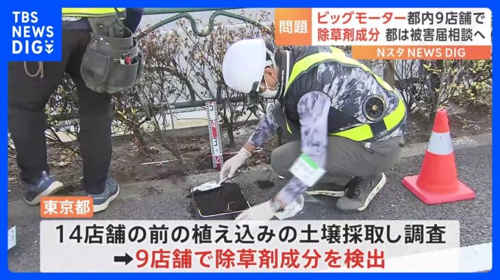 「ビッグモーター」東京都内でも9店舗前の植え込みから除草剤成分｜TBS NEWS DIG