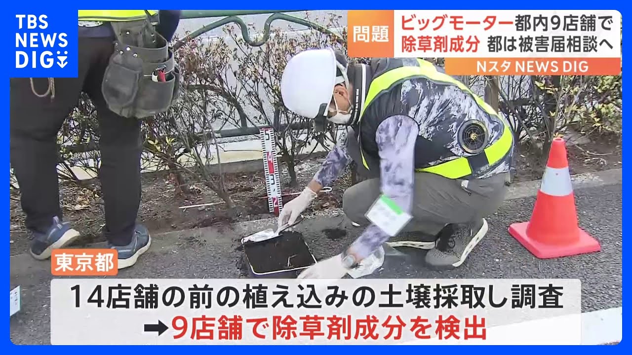 「ビッグモーター」東京都内でも9店舗前の植え込みから除草剤成分｜TBS&nbsp;NEWS&nbsp;DIG