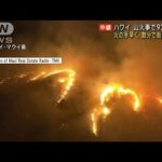 ハワイ山火事 93人死亡　火の手早く 数分で街を包囲か(2023年8月14日)