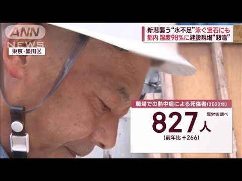 首都圏で大気不安定…各地でゲリラ雷雨　湿度98％に建設現場“悲鳴”(2023年8月22日)