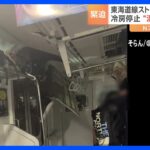 JR東海道線が電柱と衝突でストップ　先頭車両の乗客語る“緊迫した車内の様子”｜TBS NEWS DIG