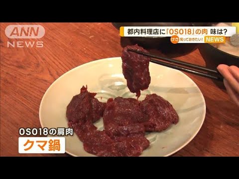 忍者グマ「OSO18」の肉　味は？「軟らかくておいしい」　東京のジビエ料理店でも提供【知っておきたい！】(2023年8月29日)