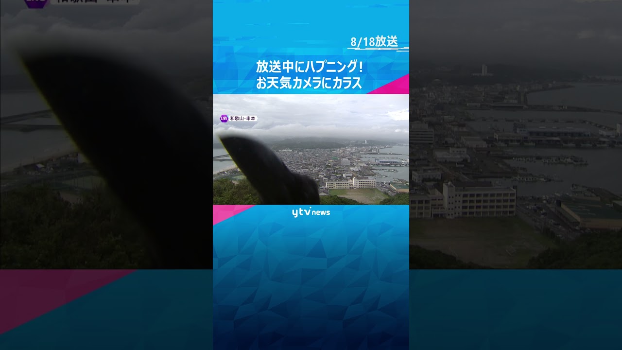 天気予報放送中にハプニング！#shorts #読売テレビニュース