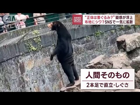 布地にシワ？“正体は着ぐるみ”疑惑が浮上　SNS一気に拡散(2023年8月2日)