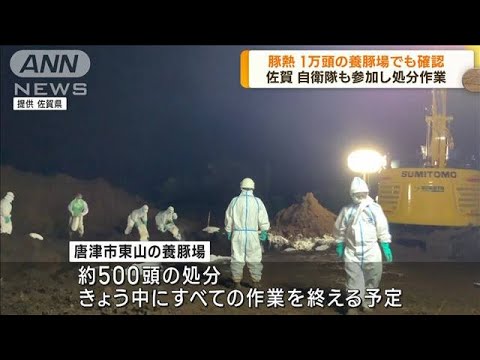 佐賀・唐津市　1万頭の養豚場でも新たに豚熱を確認(2023年9月1日)