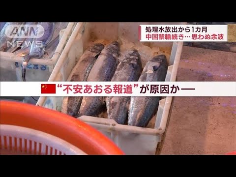 処理水放出から1カ月　中国禁輸続き…思わぬ余波(2023年9月24日)