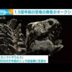 1.5億年前の恐竜の骨格がオークションに　2億円近くの値段と予想(2023年9月19日)
