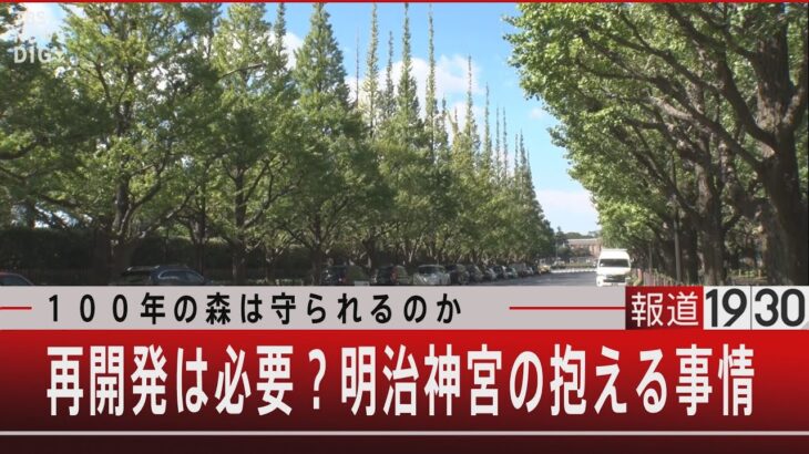 100年の森は守られるのか 再開発は必要？明治神宮の抱える事情【9月21日（木）#報道1930】｜TBS NEWS DIG