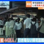 関東大震災から100年　もし今 巨大地震起きたら 「帰宅困難者」は最大で453万人 3分の1の人が路頭に迷う｜TBS NEWS DIG