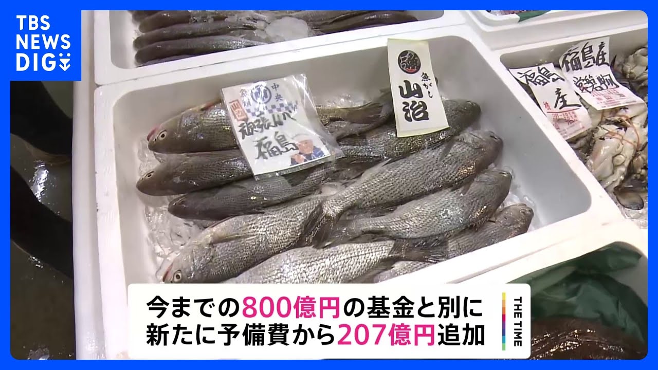 処理水めぐり水産事業者などへ1007億円支援|TBS NEWS DIG