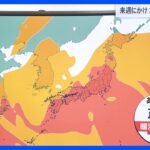 【台風情報】台風11号は3日にかけ先島諸島の南海上へ　台風12号は熱帯低気圧に変化も…曇りや雨の日が続く予報｜TBS NEWS DIG