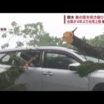 台風11号が4年ぶり台湾上陸　被害甚大　倒木が車の窓を突き破り車内に(2023年9月4日)