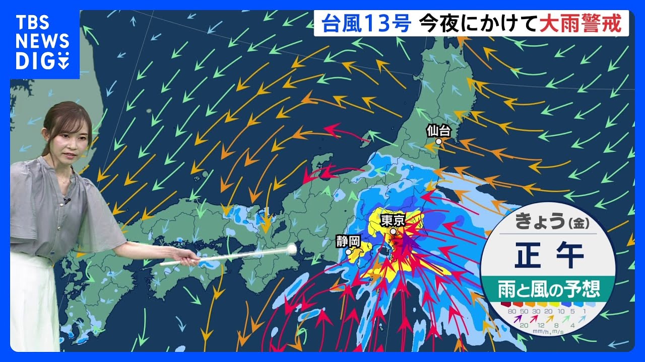 「台風13号」&nbsp;夕方から夜にかけて東海や関東に上陸へ&nbsp;中心から離れた関東などですでに大雨&nbsp;【台風進路情報】｜TBS&nbsp;NEWS&nbsp;DIG