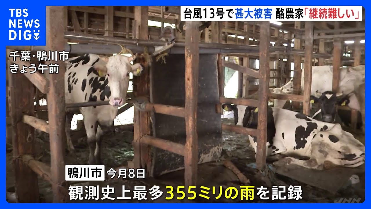 台風13号の爪痕　観測史上最大の雨を記録した千葉・鴨川市では牧場に濁流｜TBS&nbsp;NEWS&nbsp;DIG