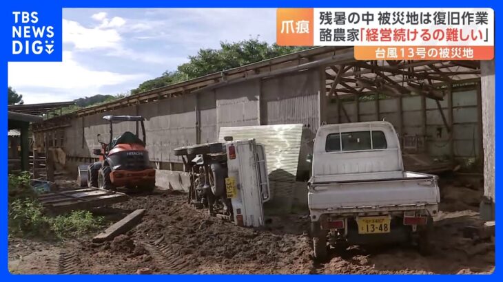 台風13号の爪痕　観測史上最多の雨　千葉・鴨川では川が氾濫し濁流が牧場に　「このまま経営続けるの難しい」｜TBS NEWS DIG
