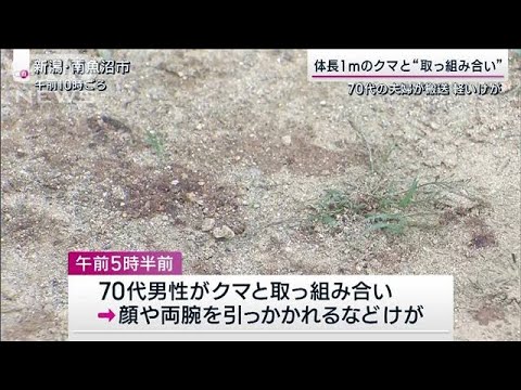 体長1mのクマと“取っ組み合い”　70代夫婦が軽いけがで搬送(2023年9月3日)