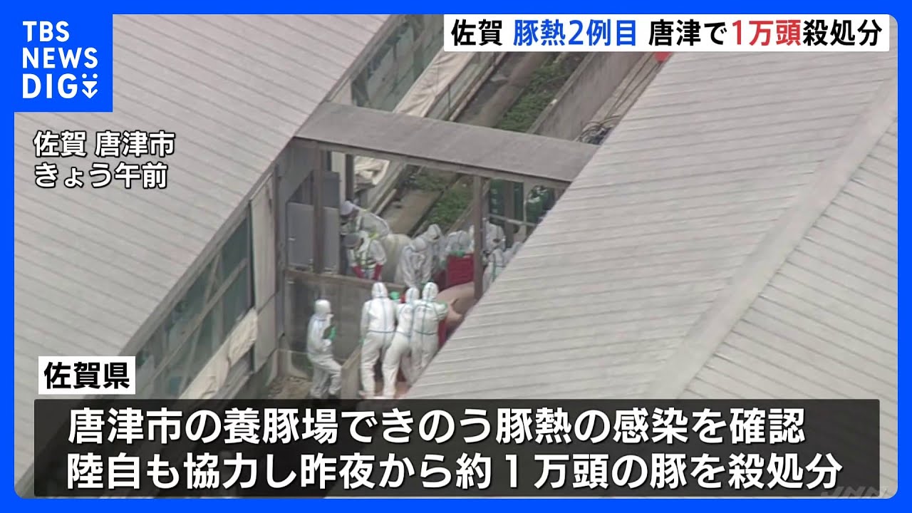 家畜伝染病「豚熱」2例目&nbsp;約1万頭殺処分　佐賀・唐津市｜TBS&nbsp;NEWS&nbsp;DIG