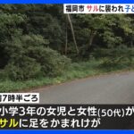 サルに襲われ2人けが 足を噛まれる　現場周辺では日頃からサルが目撃　福岡市南区｜TBS NEWS DIG