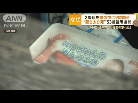 「考え事していて…」2歳男児車放置死で祖母逮捕　保育園は欠席把握も連絡せず【もっと知りたい！】(2023年9月11日)