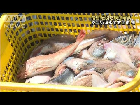 原発処理水の放出後初 福島県で底引き網漁解禁(2023年9月1日)