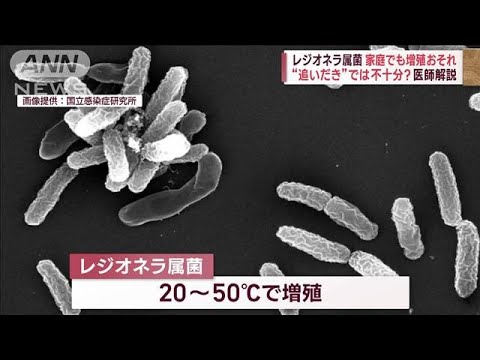 “レジオネラ属菌”2300倍検出で温泉施設が営業休止　家庭でも注意！医師解説(2023年9月28日)