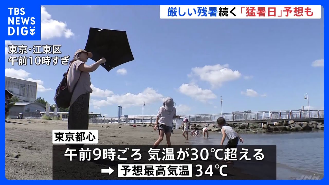 東京都心も午前中から30℃超え　祝日「敬老の日」だけど厳しい残暑　「9月じゃない…気温がまだ夏」｜TBS&nbsp;NEWS&nbsp;DIG