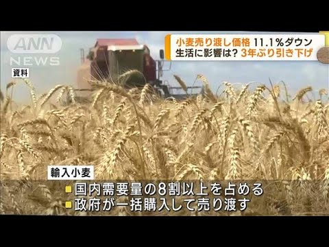 輸入小麦の売り渡し価格　3年ぶりに値下げへ(2023年9月12日)