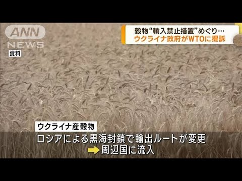 ウクライナ 穀物禁輸の3カ国をWTO提訴(2023年9月19日)