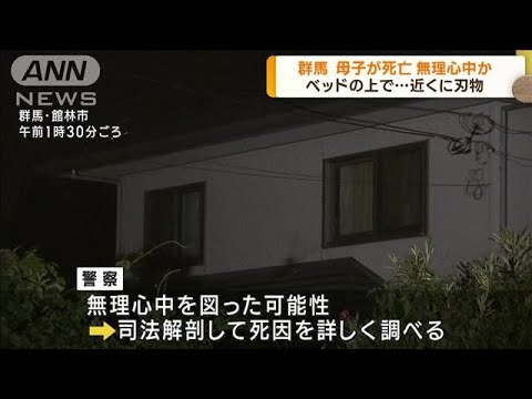 【速報】41歳母と1歳娘が住宅で死亡　近くに刃物　無理心中を図ったか　群馬・館林市(2023年9月4日)