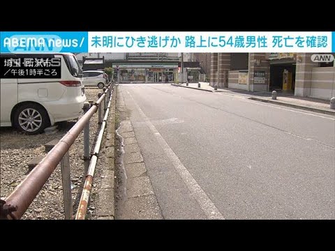 路上で倒れた54歳男性死亡　ひき逃げ事件として捜査　埼玉・所沢市(2023年9月16日)