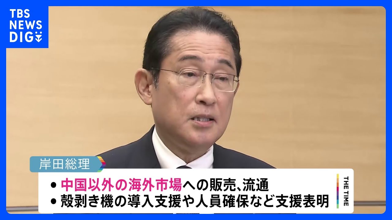 中国以外の新規海外市場への販売など支援へ　岸田総理が「処理水」影響受け漁業者支援策を発表｜TBS&nbsp;NEWS&nbsp;DIG