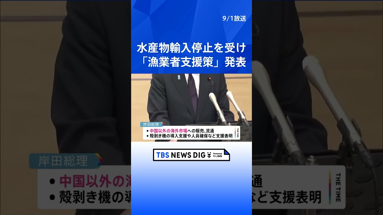 中国以外の新規海外市場への販売など支援へ 岸田総理が「処理水」影響受け漁業者支援策を発表|TBS NEWS DIG #shorts