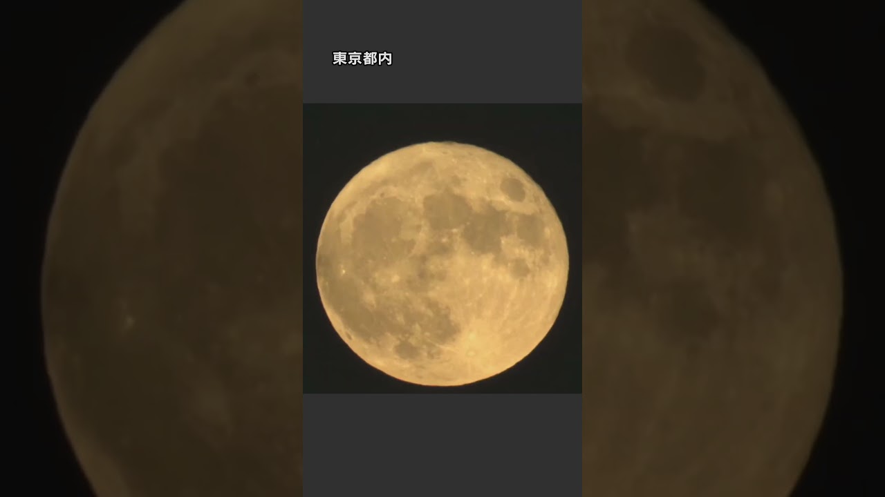 #スーパーブルームーン 今年最も地球に近い満月を超望遠107倍レンズでお届け! #shorts