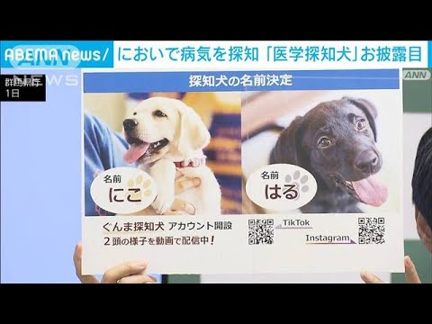 においで病気を探知　群馬県「医学探知犬」お披露目(2023年9月2日)