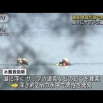 福島・猪苗代湖で泳いでいた男性が死亡　周りにサップの道具など浮く(2023年9月3日)