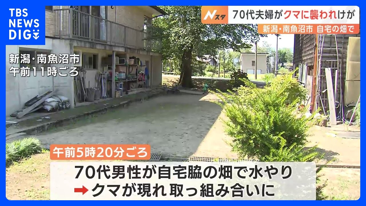 突然現れたクマと取っ組み合い…「血だらけだった」70代夫婦がけが、命に別状なし　新潟｜TBS&nbsp;NEWS&nbsp;DIG