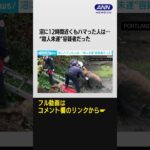 泥沼からようやく無事救出…　んっ？逃走中の殺人未遂容疑者だった！ #Shorts